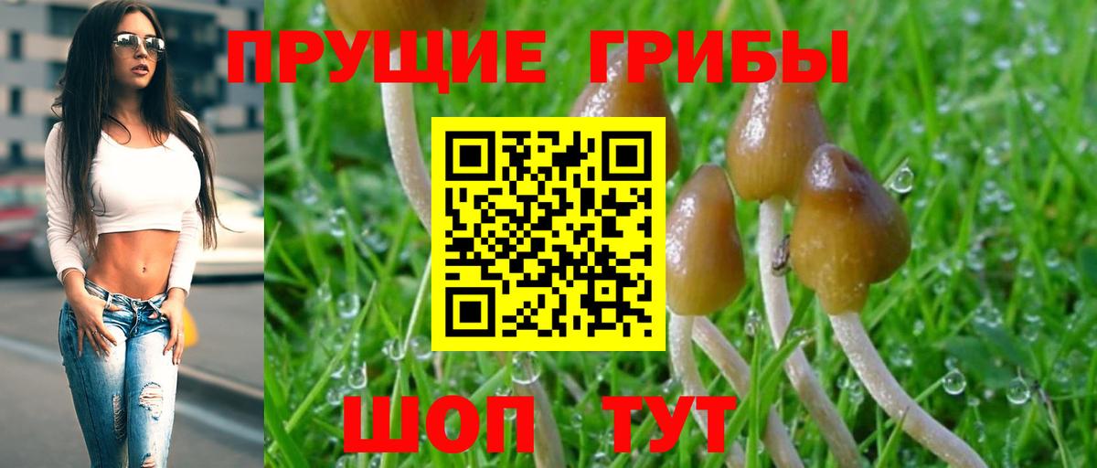 Ухта  Псилоцибиновые грибы GOLDEN TEACHER  наркотики  Вход с VPN 