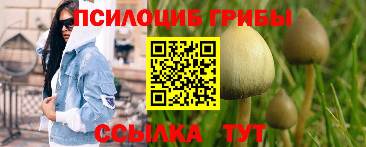 Псилоцибиновые грибы Cubensis Ухта